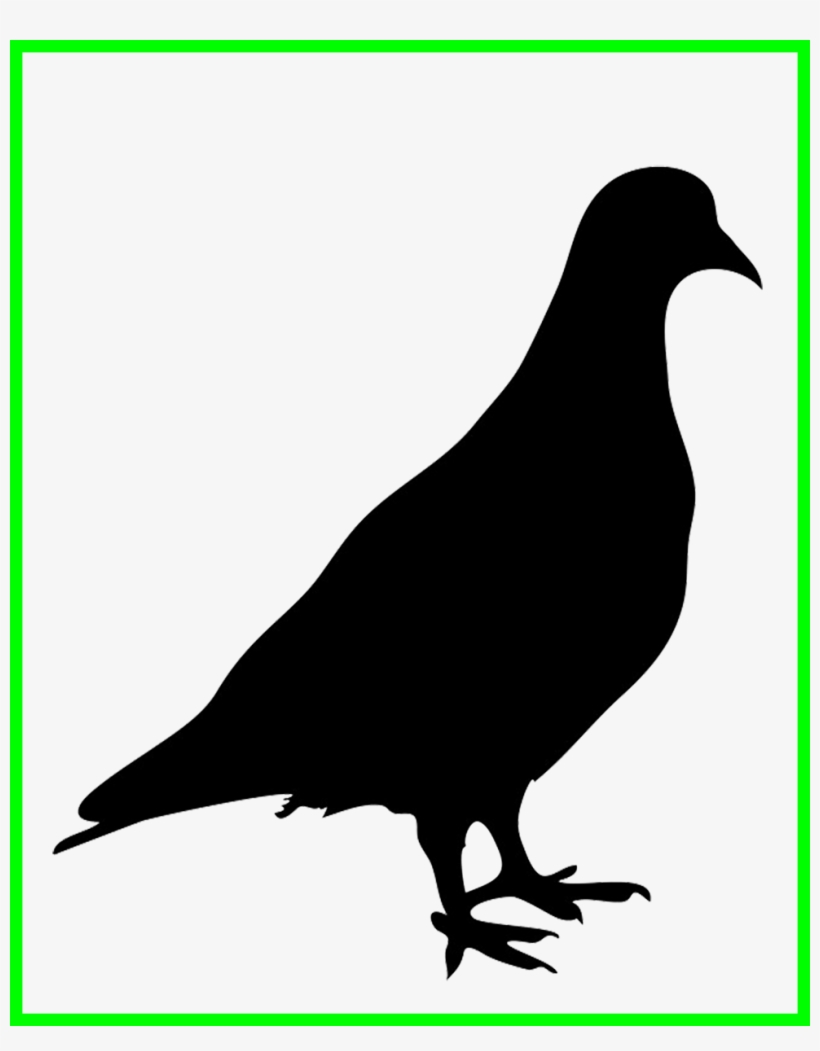 Stunning Of Pigeon Png - Pigeon Silhouette Png, transparent png download