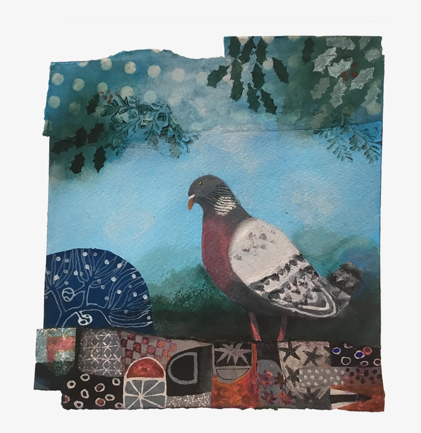 Rock Dove, transparent png download