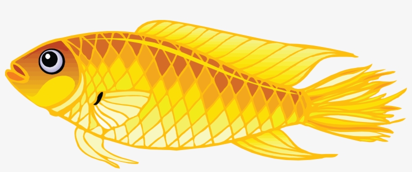 Golden Fish Png Transparent Clipart Image - Рыба Пнг, transparent png download