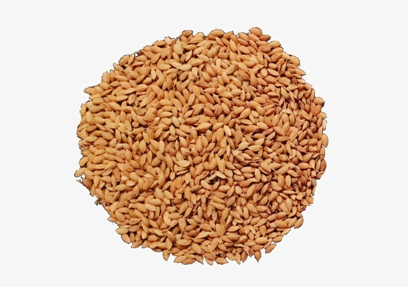 Brown Rice Png Free Download - Beer, transparent png download