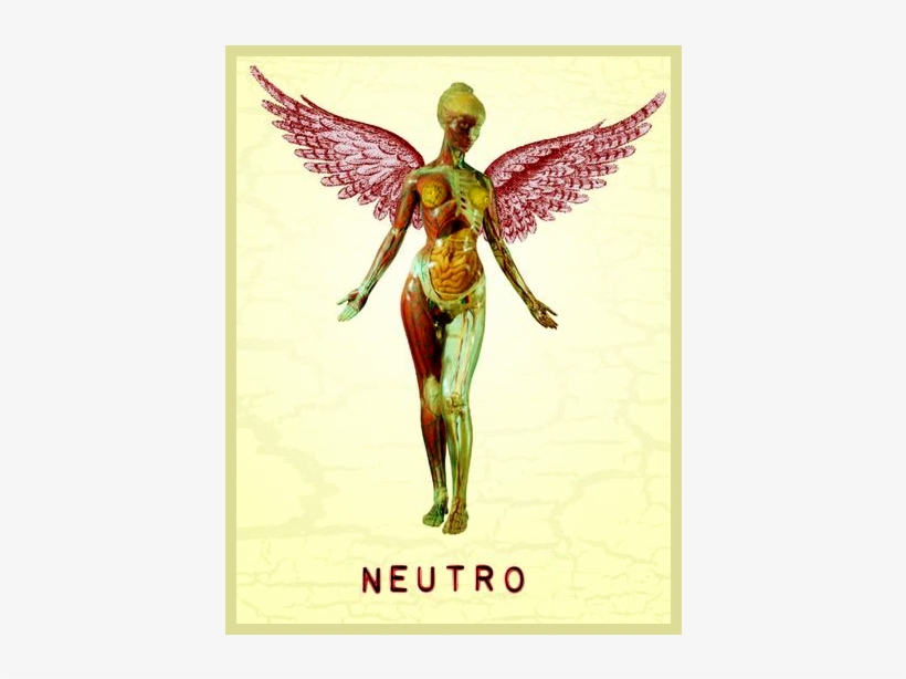 This Is My Latest Avatar Which Slightly Repurposes - 20th Anniversary In Utero, transparent png download