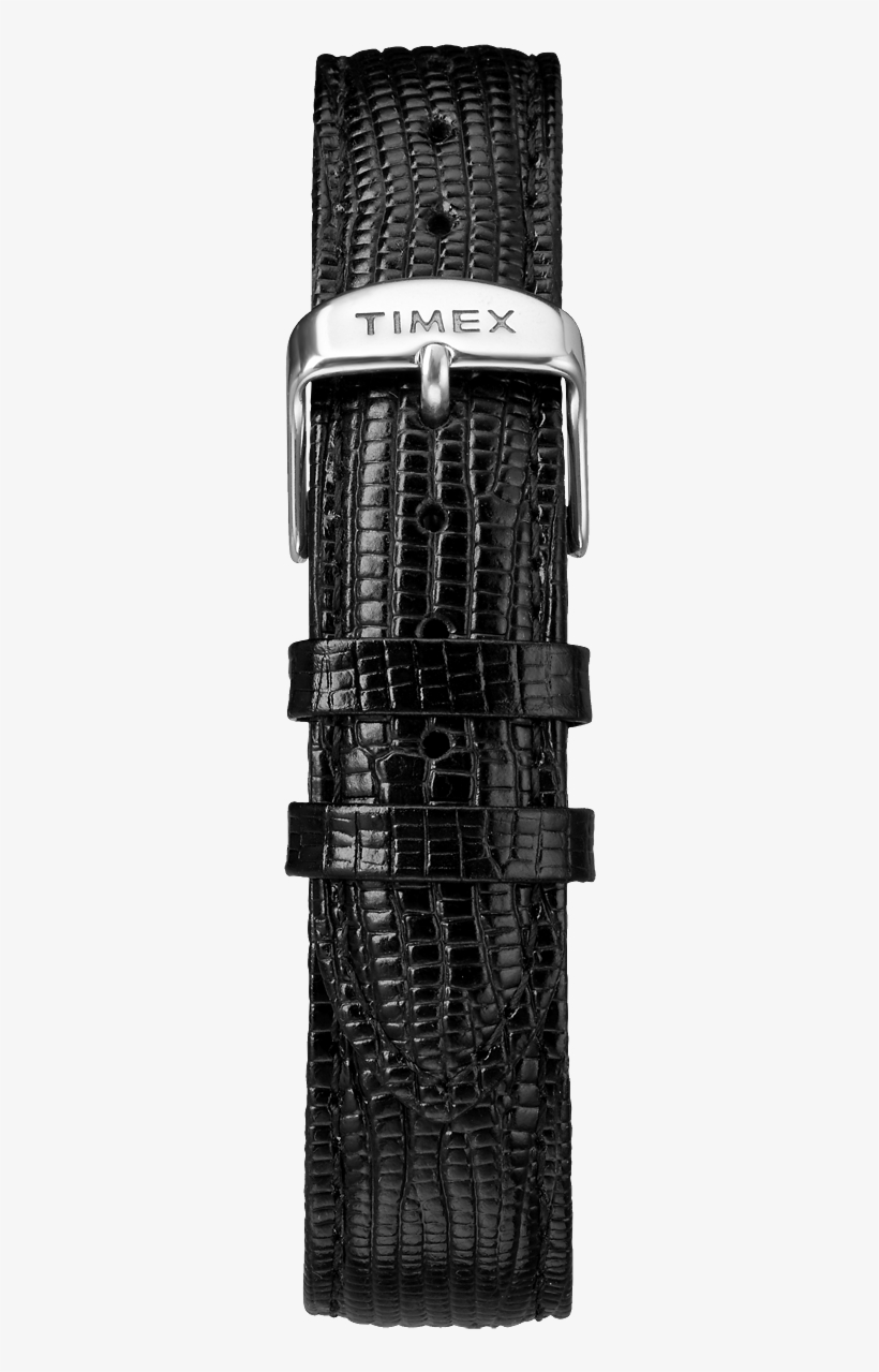 Marlin® Hand-wound 34mm Leather Strap Watch - Timex Group Usa, Inc., transparent png download