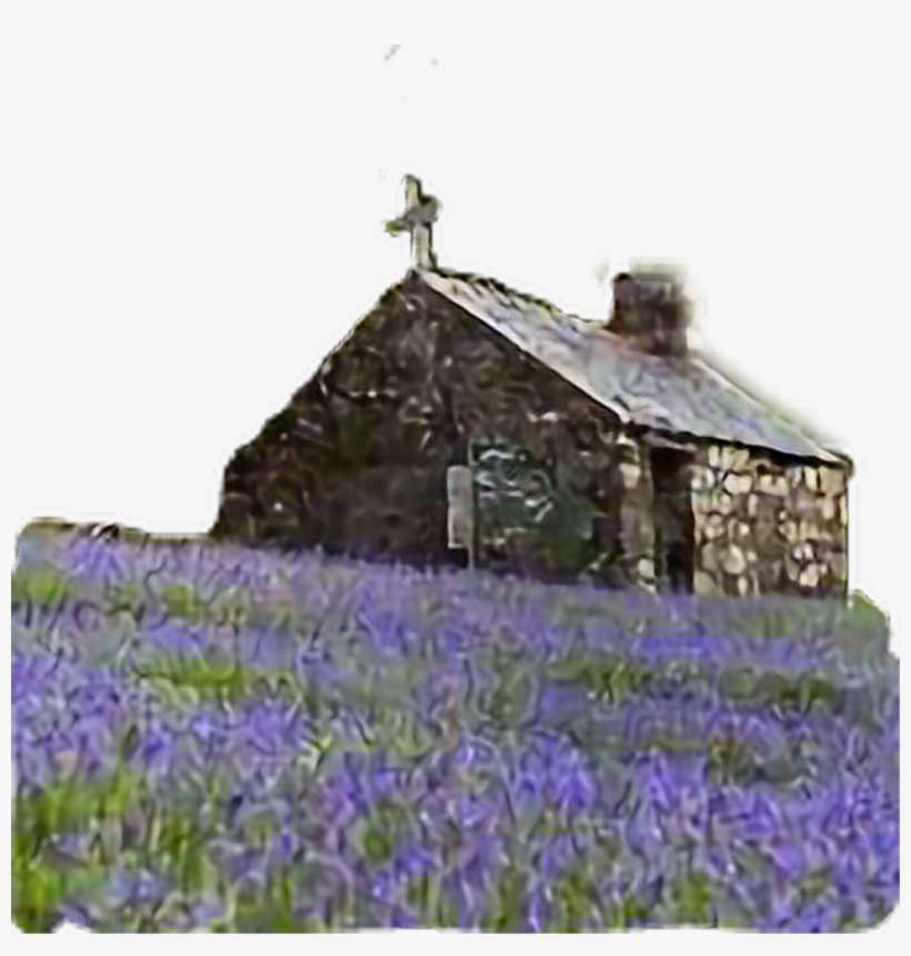 Sticker Church Stonehouse Flowers Cross Landscape Freet - Iris Reticulata, transparent png download