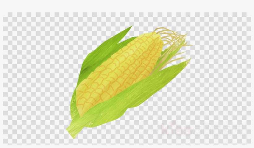 Leaf Clipart Corn On The Cob Sweet Corn - Clip Art, transparent png download