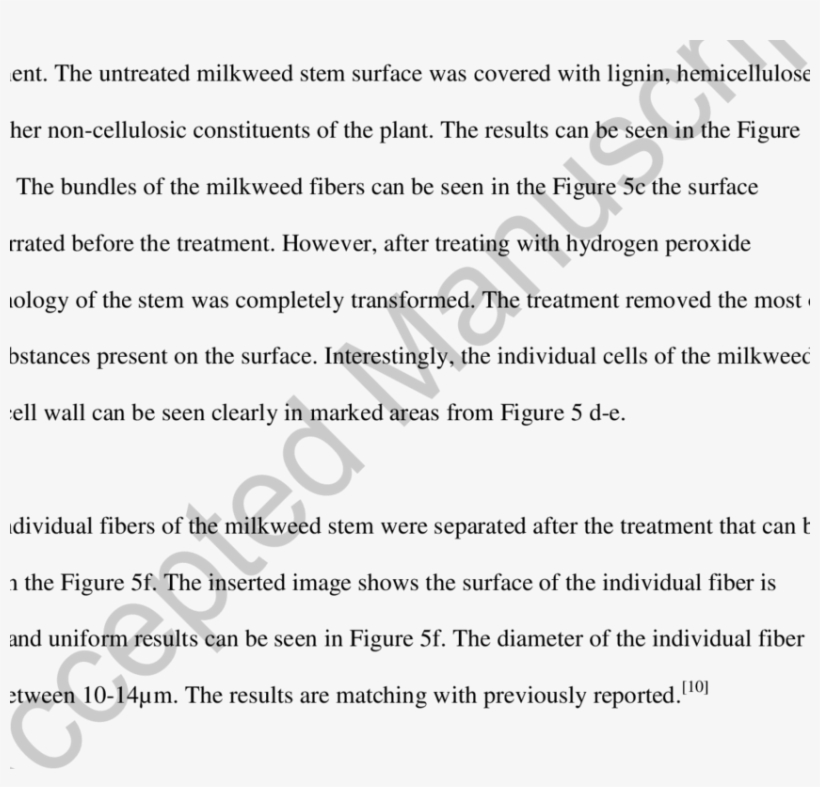 A-f) Shows The Morphological Images Of The Milkweed - First Parish Church Of Groton, transparent png download