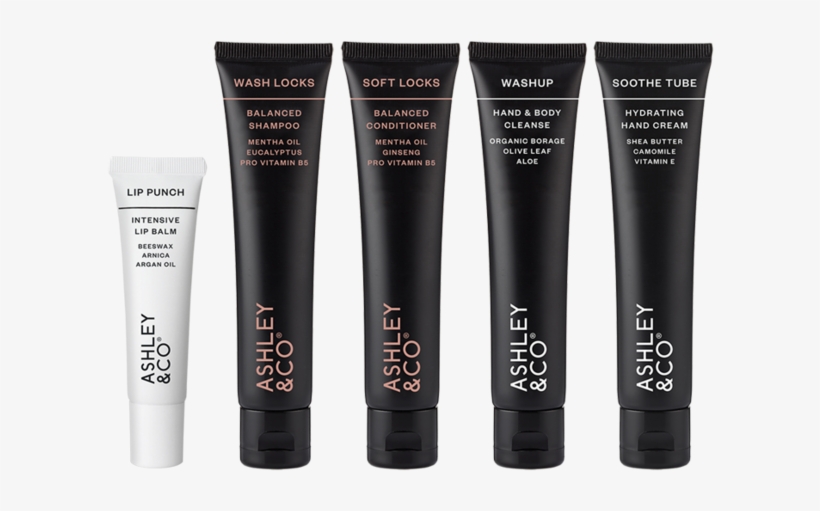 Carry All - Acrylic Paint, transparent png download