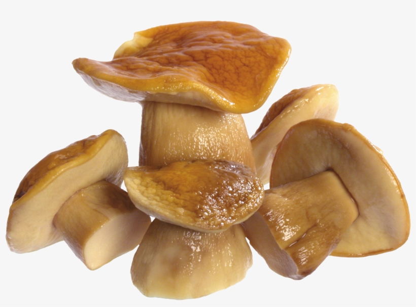 Mushroom Png Image - Cooked Mushroom Png, transparent png download
