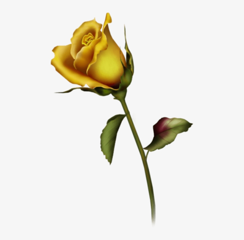 Free Png Yellow Rose Bud Art Png Images Transparent - Rose Bud Tattoo Design, transparent png download