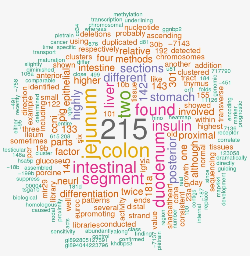Stem Loop Sequence Ssc Mir 194b - Health And Wellbeing Words, transparent png download