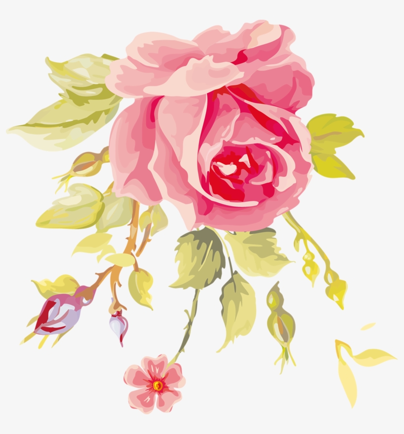 Rose Art - Garden Roses, transparent png download