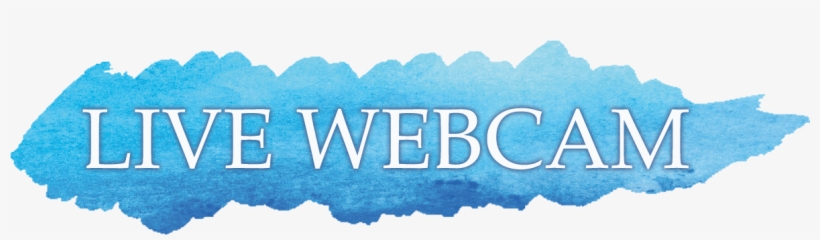 Lorem Ipsum - Gray's Anatomy For Students 2nd, transparent png download