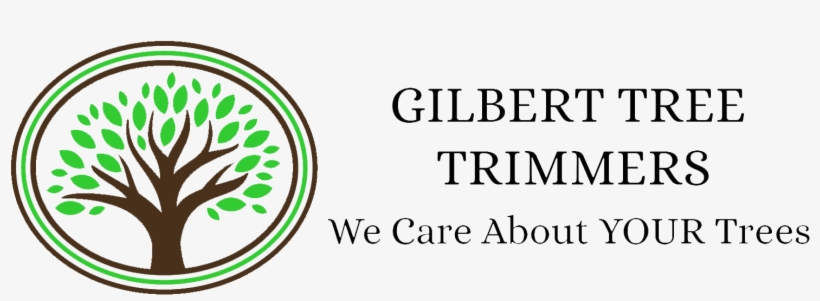 University Of Gloucestershire, transparent png download