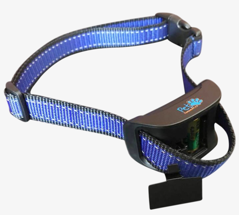 pet pawsabilities bark collar