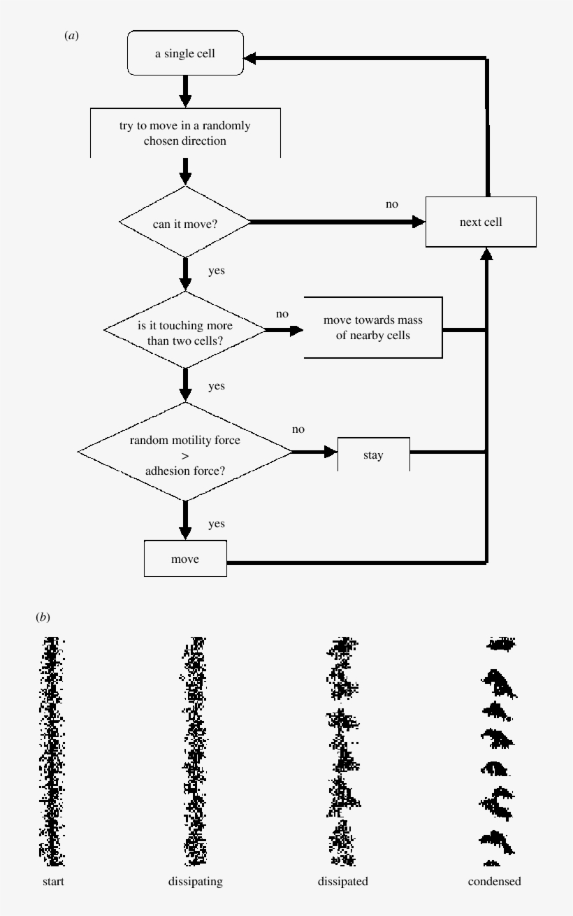 General Outline Of Computer Simulation Algorithm, And - Diagram PNG ...