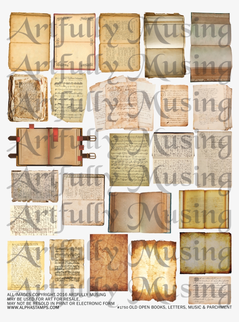 There Are Several Open Books, Some Blank And Some With - Wood, transparent png download
