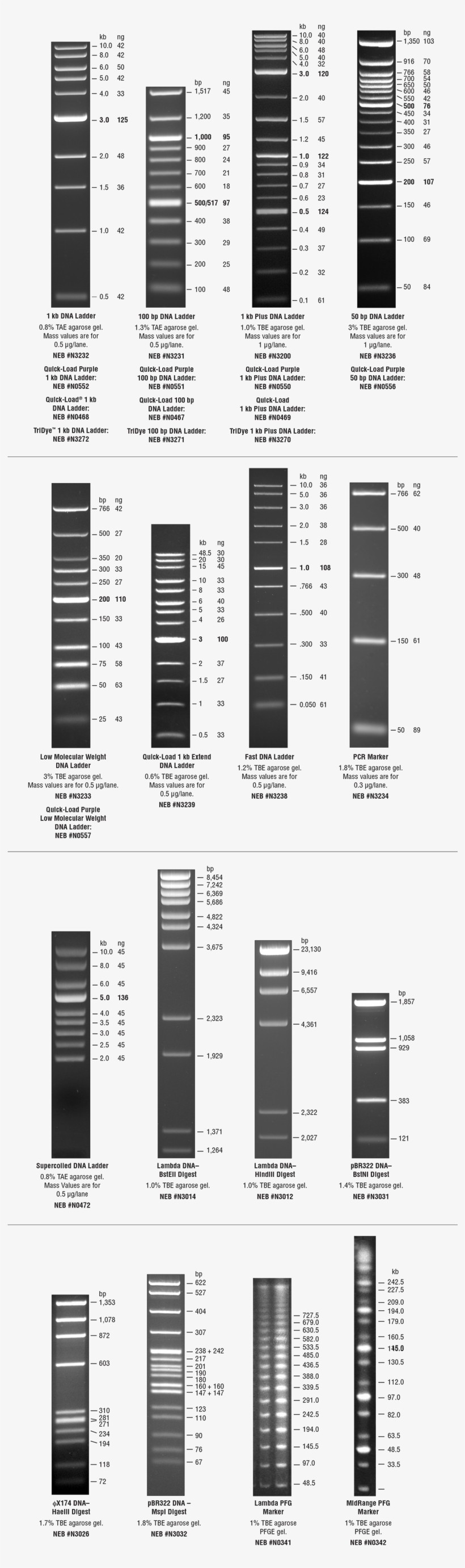 The Typical Pattern Generated By Each Of Our Markers - Ladder, transparent png download