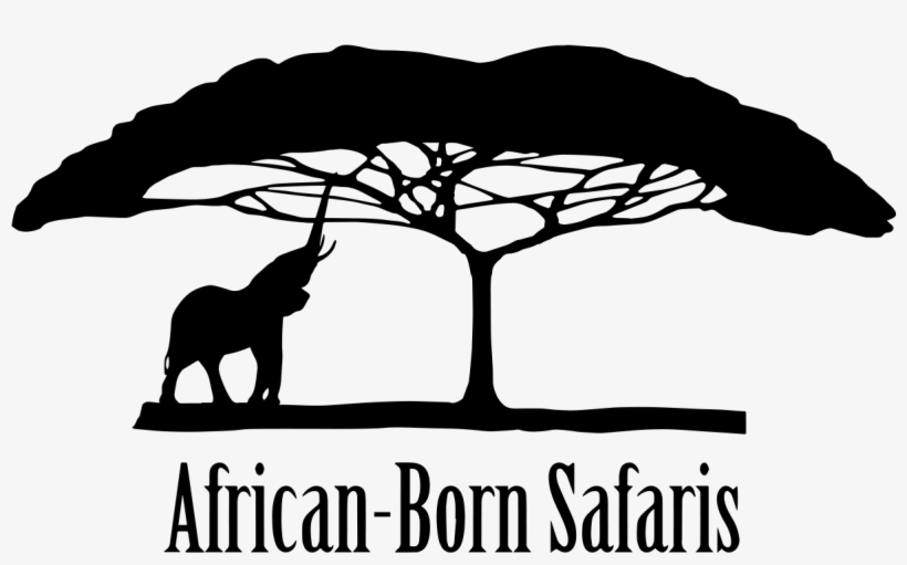 African-born Safaris - North African Environment At Risk, transparent png download