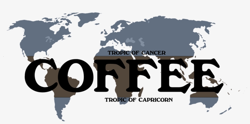 Coffee Is The Seed Of A Tropical Fruit That Is Grown - World In 300 Ce, transparent png download