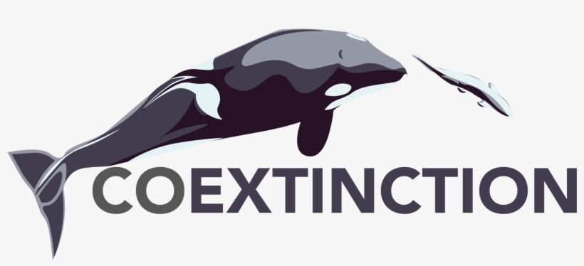 One Spider Monkey Crewneck - Killer Whale, transparent png download