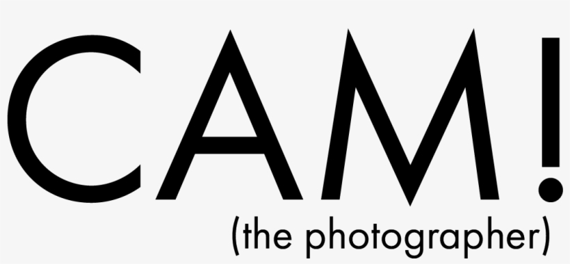 Cam Evans - Best Awful There Is Carrie Fisher, transparent png download