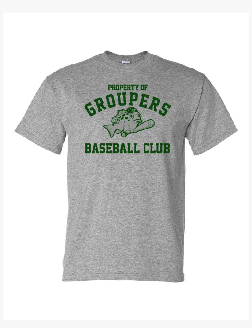 Groupers Property 50/50 Shirt - T Rex Hates Intubations, transparent png download