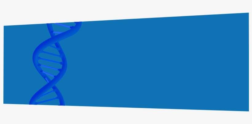 Duoshield™ Nitrile Gloves And Duoshield™ Latex Gloves - Cobalt Blue, transparent png download