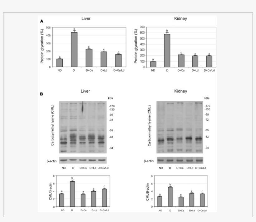 The Effect Of C - Glycation, transparent png download