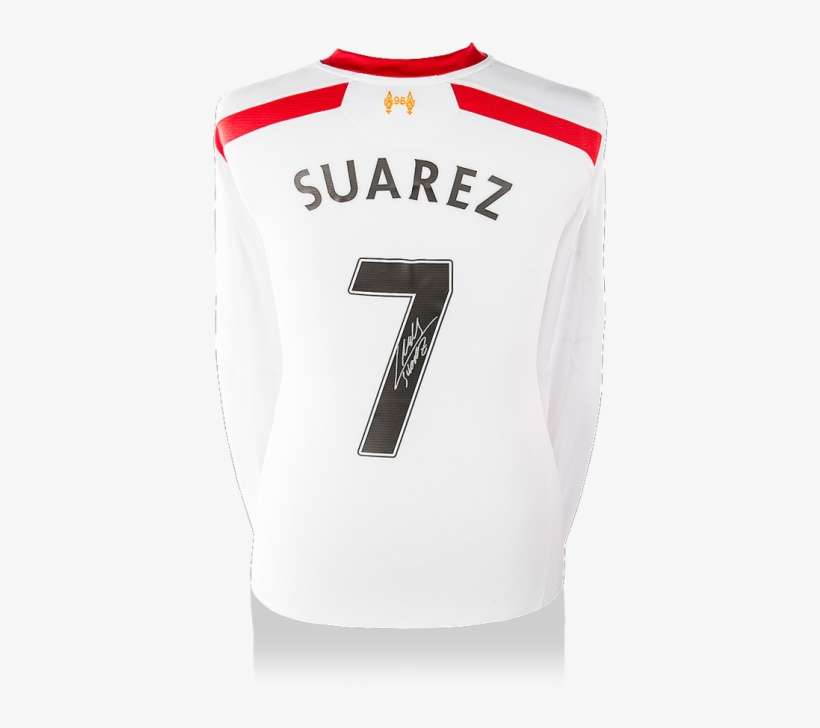 Fernando Torres, transparent png download