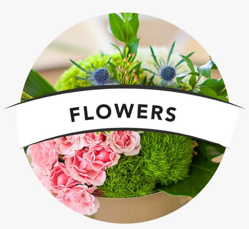 4c Lowcountry Kitchen Team Headerartboard 6 - Lowcountry Kitchen, transparent png download