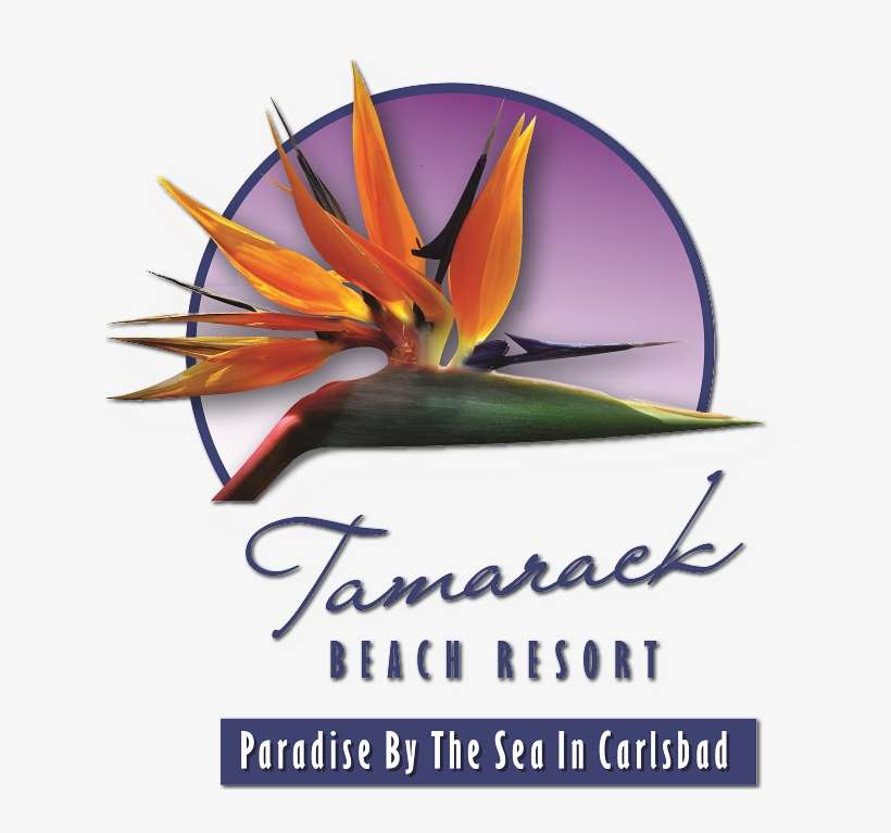 Tamarack Beach Resort Hotel - Tamarack Beach Resort, transparent png download