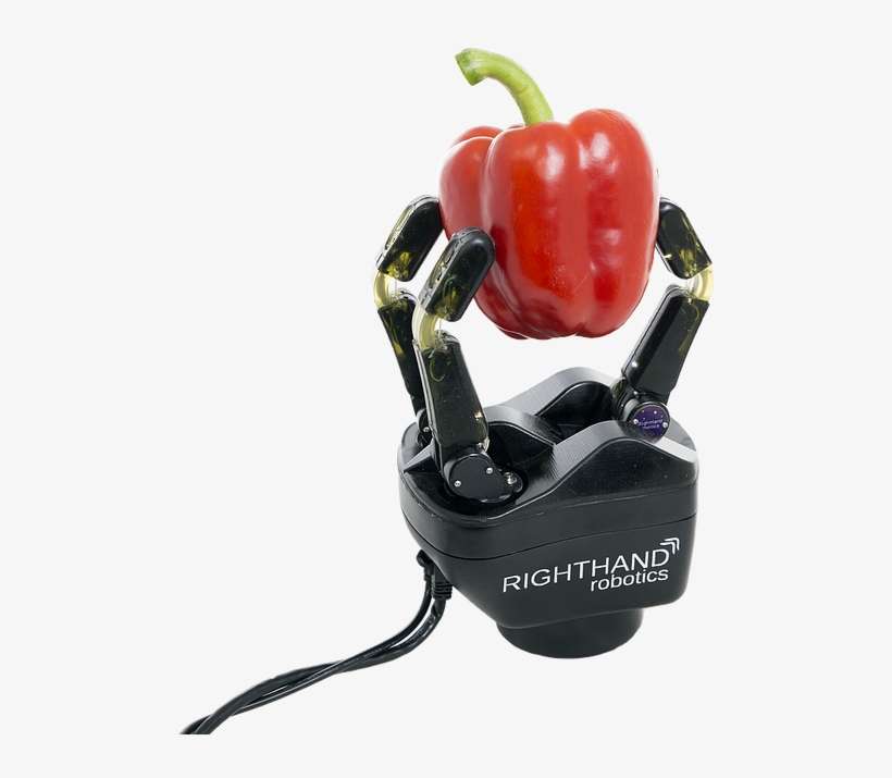 4405e8 - San Francisco, transparent png download