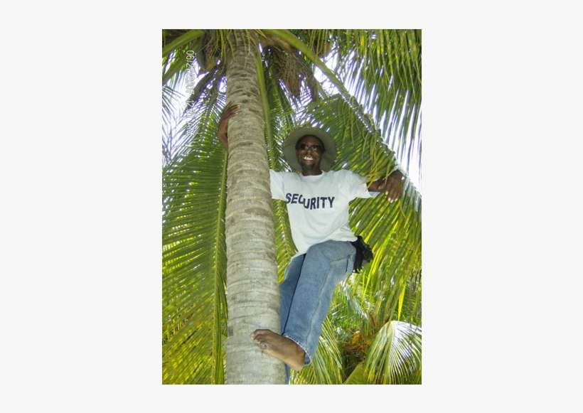 Nirvana's Incredible Botanical Gardens Offer A Lush - Leisure, transparent png download