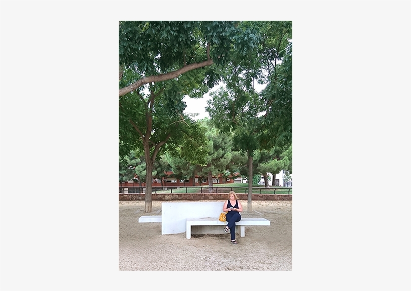 Banco Bis De Hormigón Blanco De Xavier Isart En Terrassa, - Tree, transparent png download