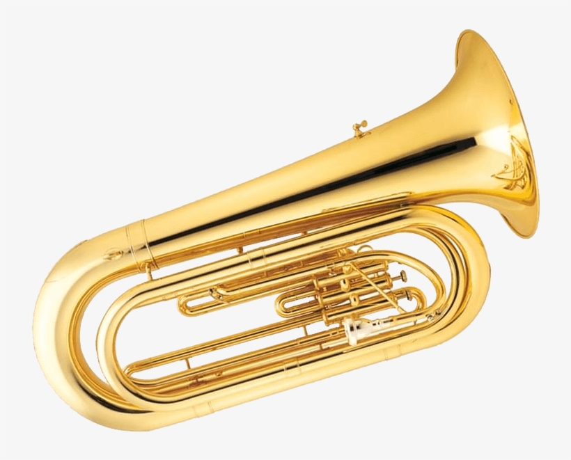 Cerchi Una Tuba Visita Lo Store Dampi Per Scegliere - Trumpet, transparent png download
