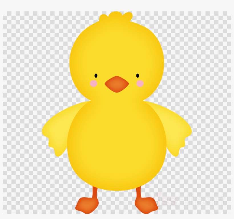 Baby Duck Png Clipart Duck Cygnini Clip Art, transparent png download