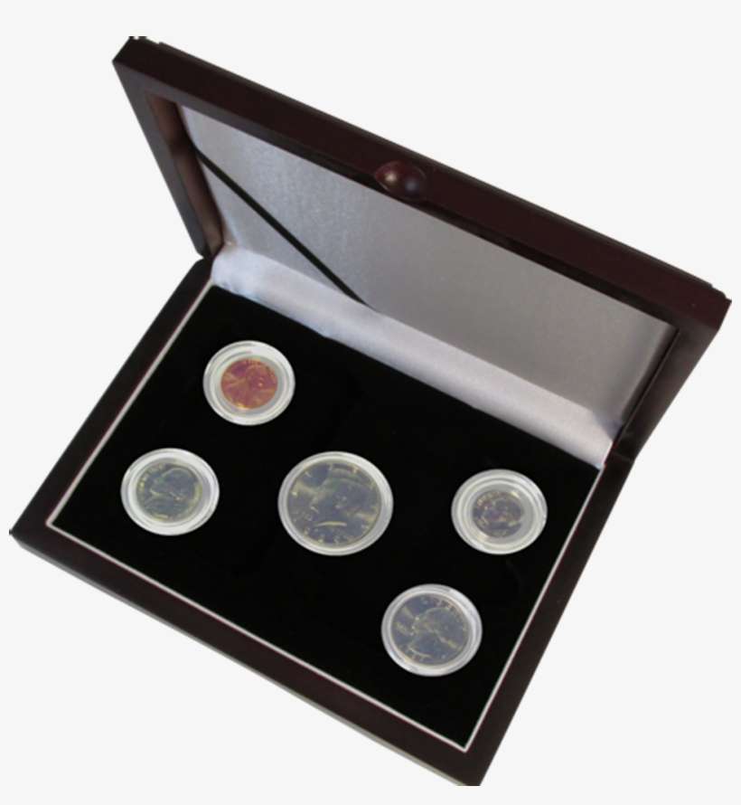 Guardhouse Wood Display Box For 5 Coin Capsules Proof - Half Dollar, transparent png download