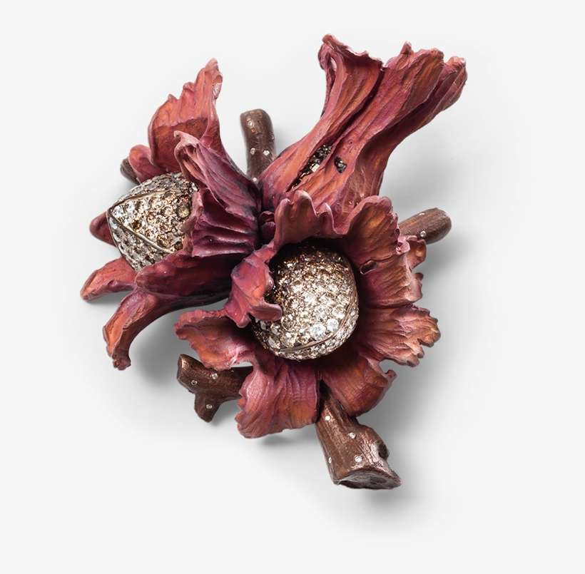 Hemmerle Brooch In The Shape Of A Hazelnut - Jewellery, transparent png download