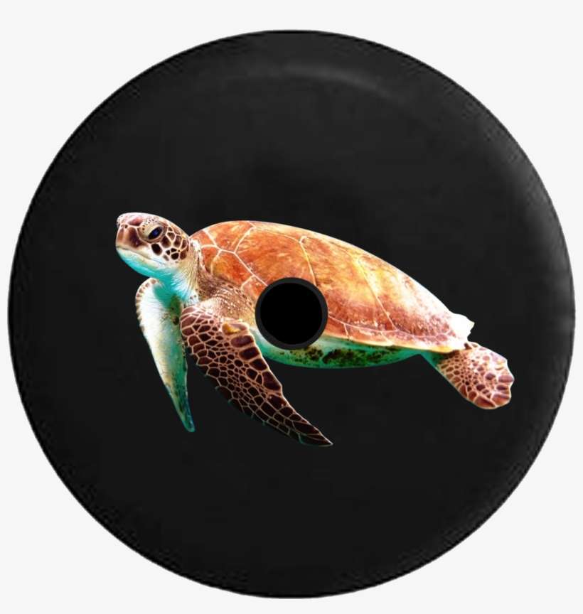 Jeep Wrangler Jl Backup Camera Sea Turtle Swimming - Tirecoverpro Full Color Curious Dolphin Staring Back, transparent png download