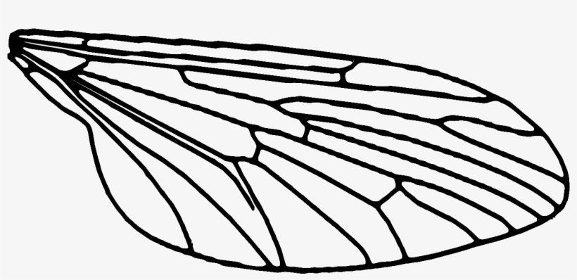 Halloween Mask By Retrofluffyboy - Fly Wings Clip Art, transparent png download