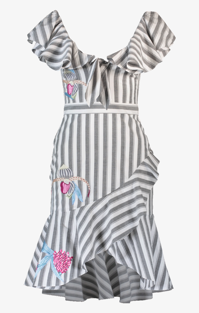 Temperley London Bella Embroidered Ruffle Dress In - Dress, transparent png download