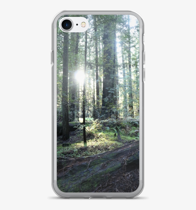 Iphone 7/7 Plus Case Red Wood Forest By Ventcri - Iphone 7, transparent png download