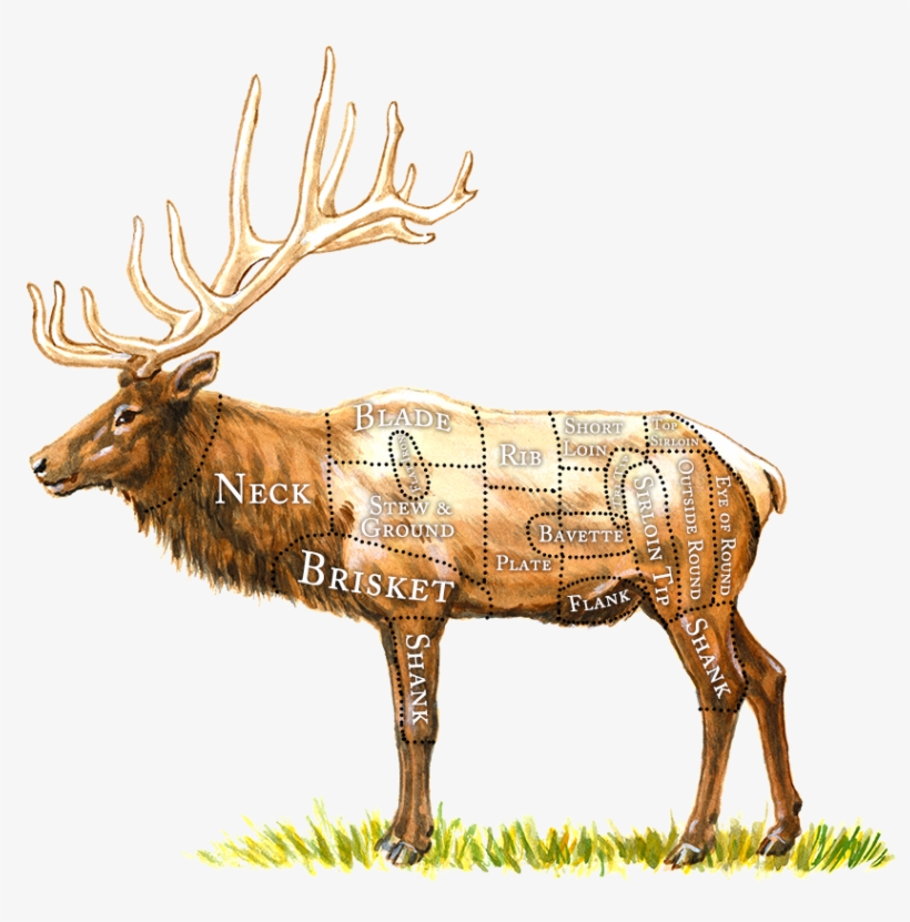 Breaking Down The Healthy Butcher Blog References - Hunt Elk, transparent png download