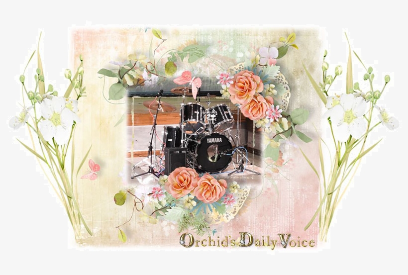 Drum Recital, Birds And Cherry Blossom - Cherry Blossom, transparent png download