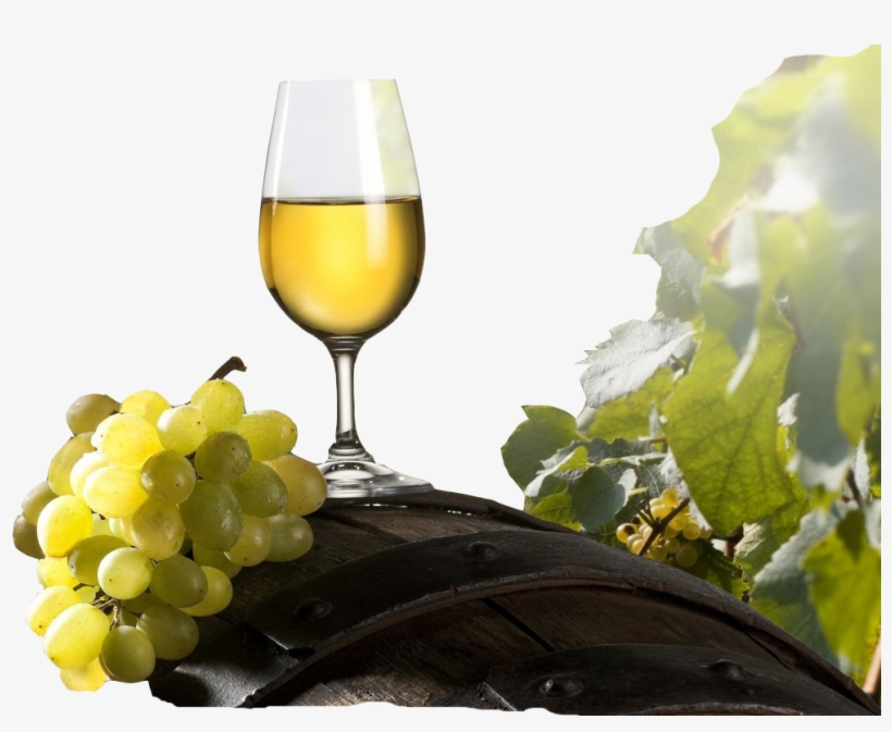 Wine Png Image - Grapes And Wine Png, transparent png download