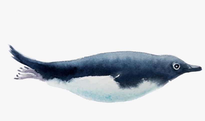 &nbsp - &nbsp - &nbsp - &nbsp - - Watercolor Painting, transparent png download