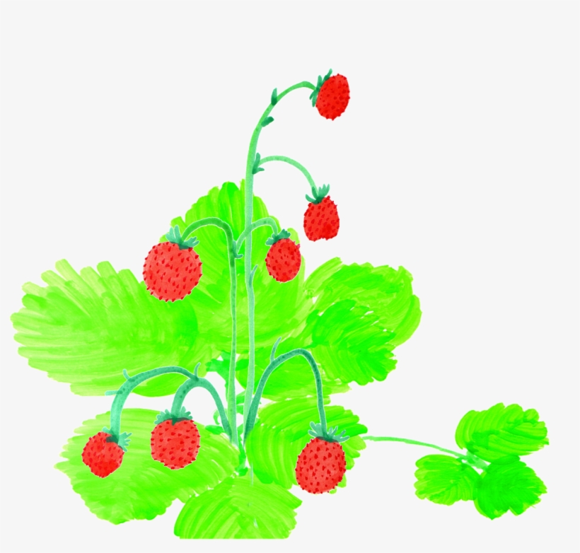Strawberries Watercolor Handpainted - Watercolor Painting, transparent png download