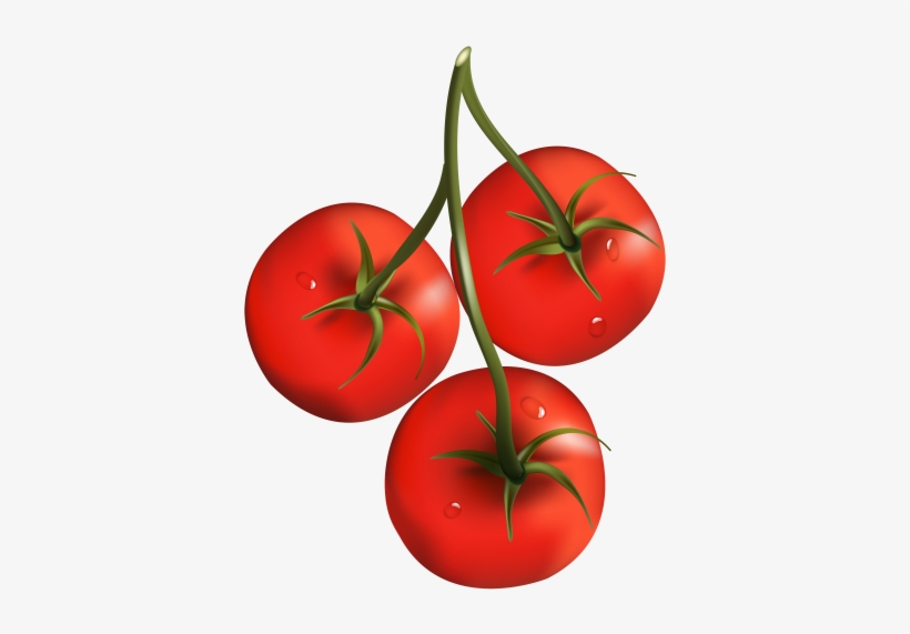 Pin By Penny Lane On Fruits & Veggies Of All Kinds - Cherry Tomatoes Clip Art, transparent png download
