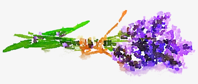Lavender Watercolor Png - Free Watercolor Pngs, transparent png download