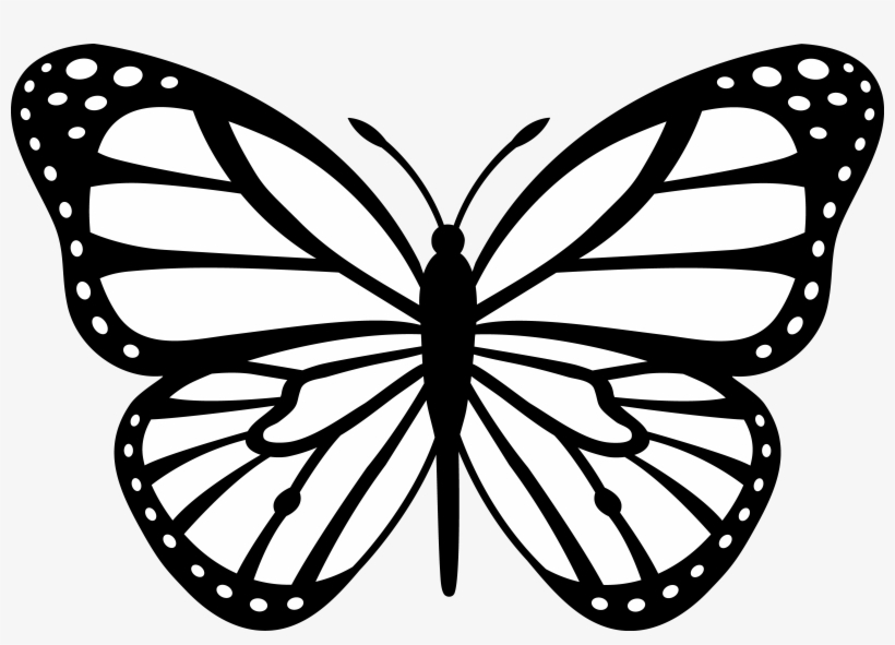 Free Free 178 Transparent Butterfly Svg Free SVG PNG EPS DXF File