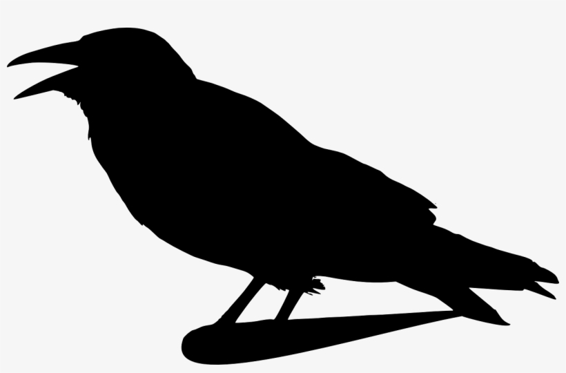 Crow Raven Silhouette Isolated Bird Black - Crow Clip Art, transparent png download